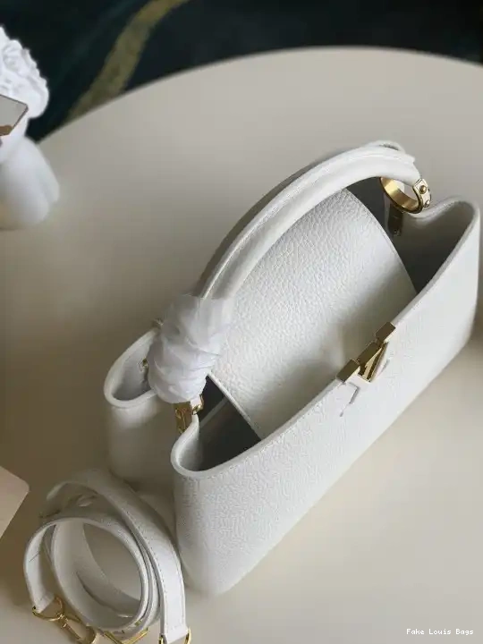 Fake Louis Bags CAPUCINES VUITTON PM LOUIS 0531